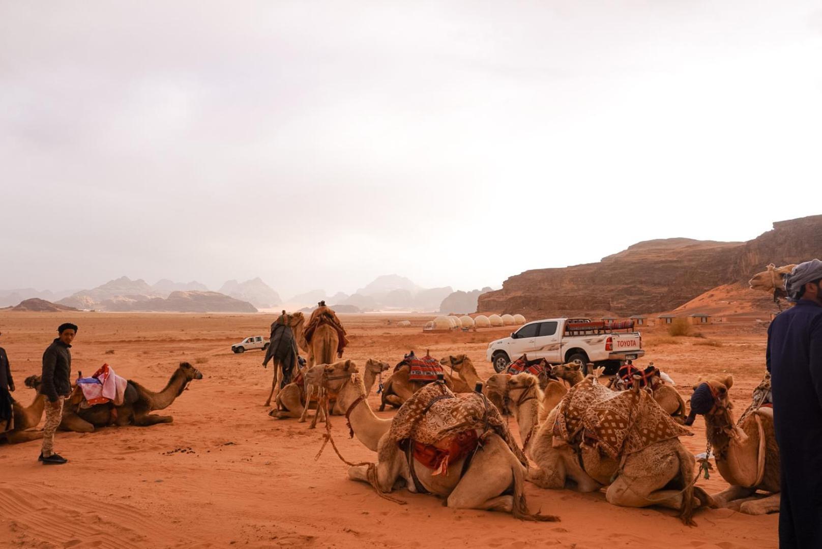 Shaheen Camp Wadi Rum Exteriér fotografie