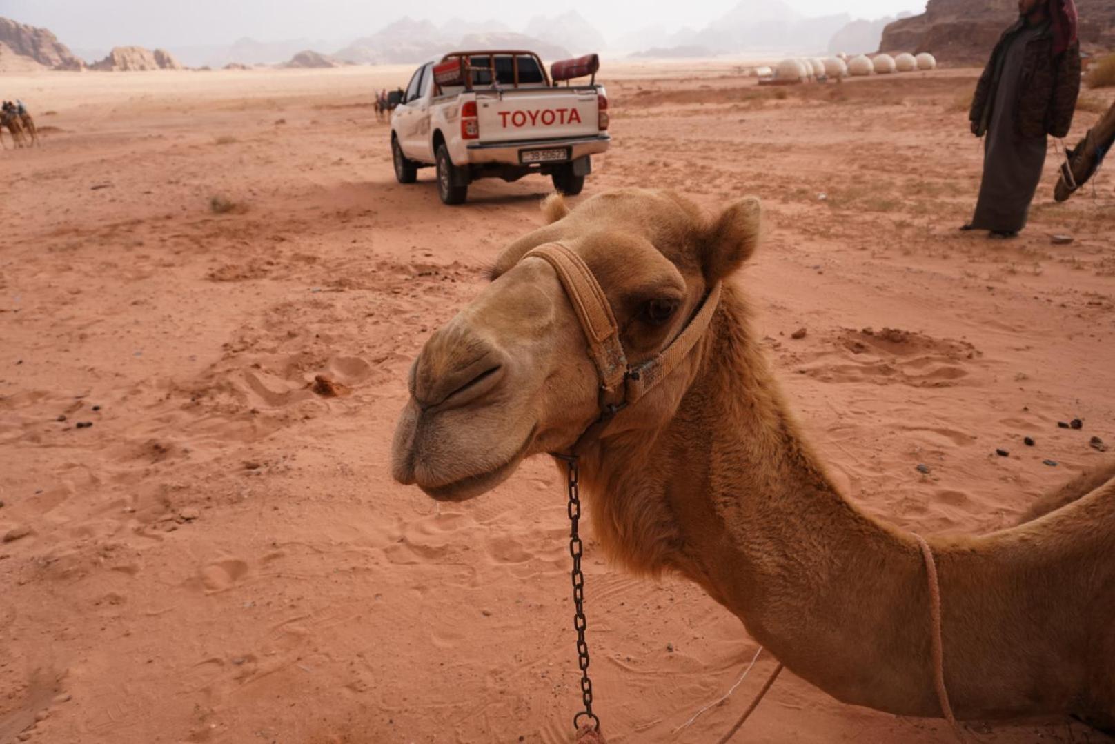Shaheen Camp Wadi Rum Exteriér fotografie
