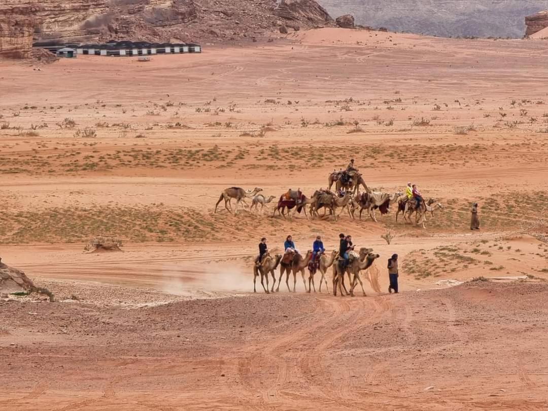 Shaheen Camp Wadi Rum Exteriér fotografie